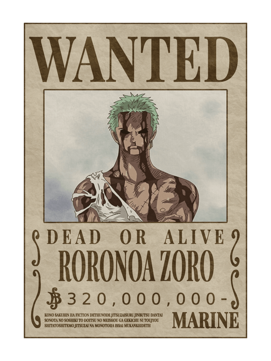 ZORO RUG